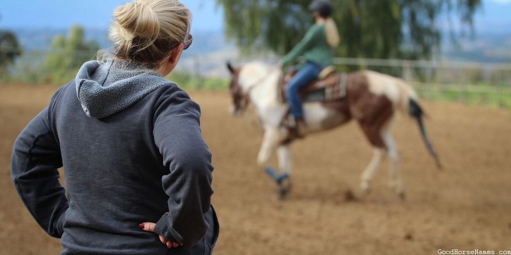 Pop Culture Inspired Black Male Horse Names