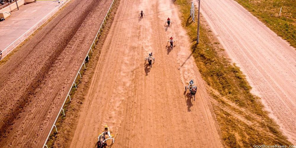 Popular American Quarter Horse Names