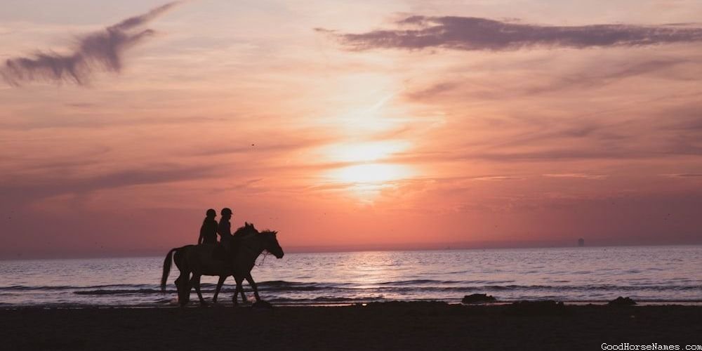 Popular Male Palomino Horse Names