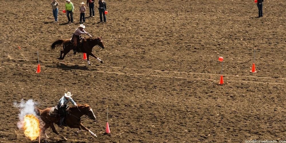 Popular Meaningful Horse Names