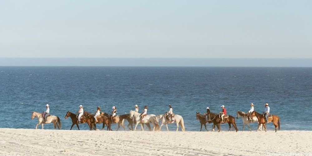 Popular Mexican Horse Names