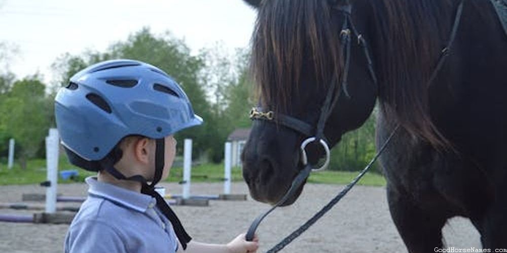 Popular Norwegian Horse Names