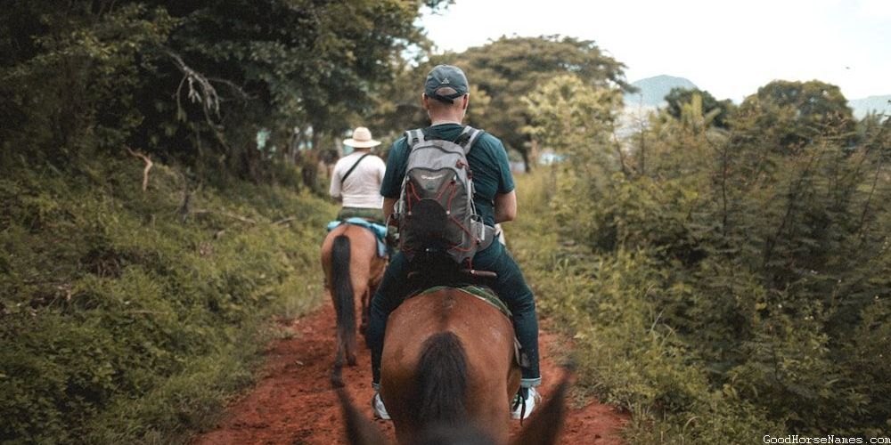 Popular Rescue Horse Names