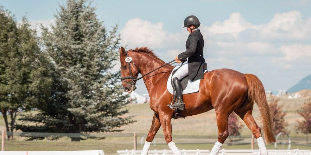 Popular Stereotypical Horse Names