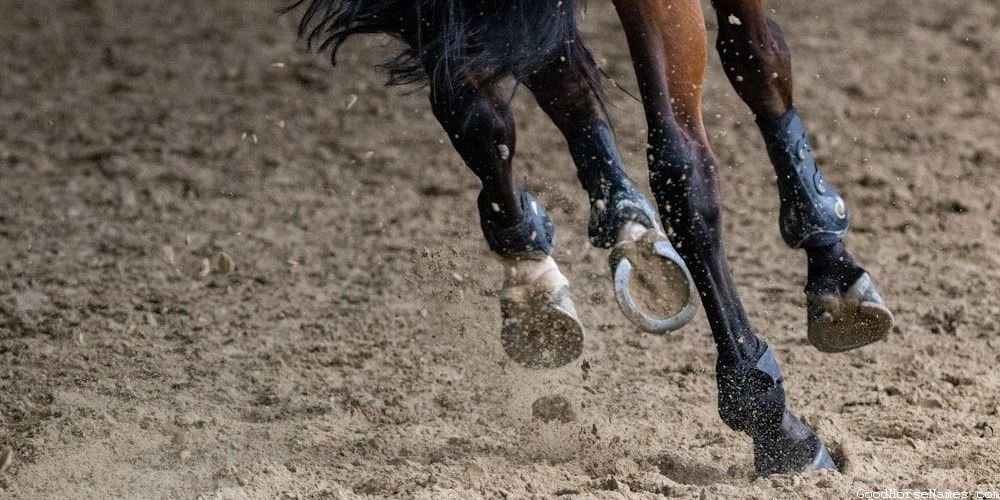 Powerful Names for Mare Barrel Horses