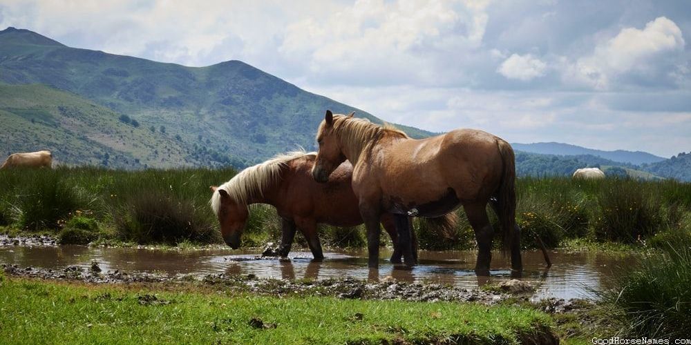 Powerful Sioux Horse Names