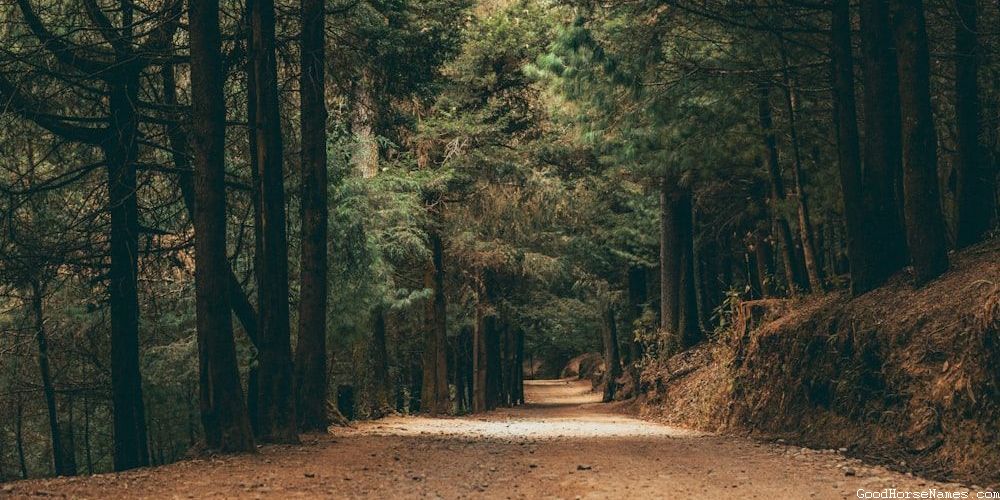 Powerful Stereotypical Horse Names