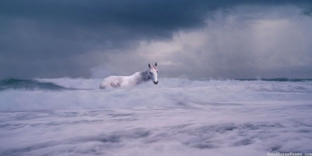 Redneck Horse Powerful Names