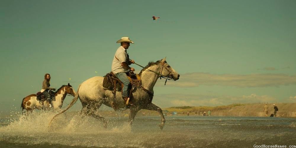 Roping Horse Powerful Names