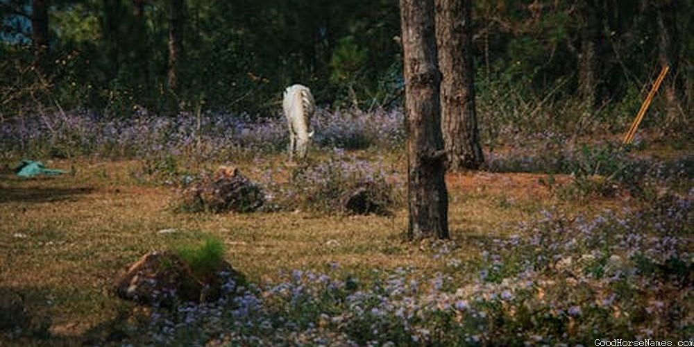 Royal Mythical White Horse Names
