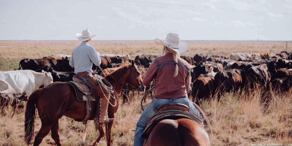 Russian Horse Funny Names