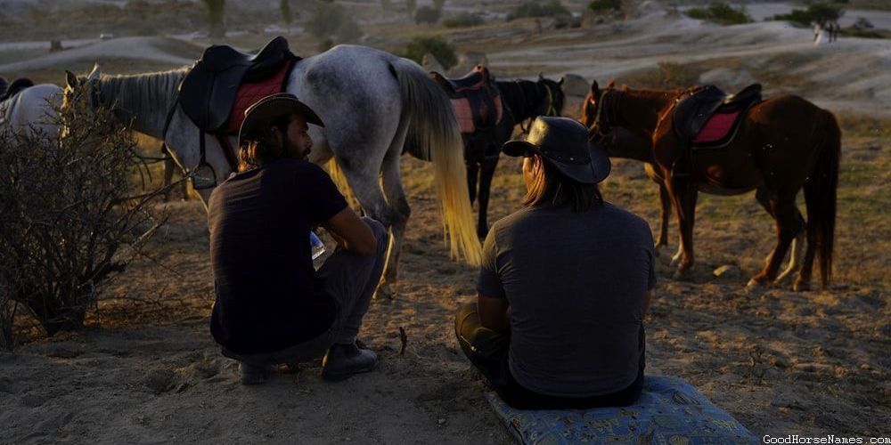 Saddlebred Horse Funny Names