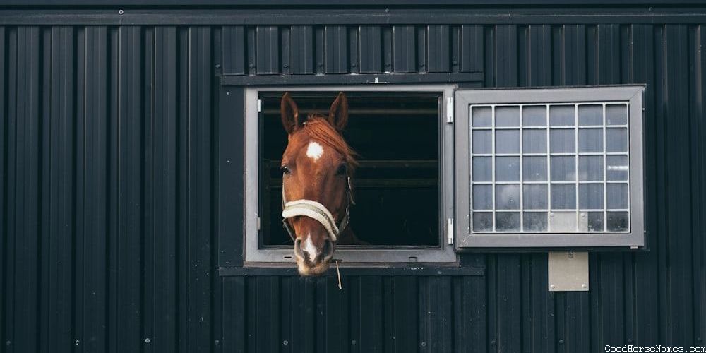 Samurai Horse Powerful Names