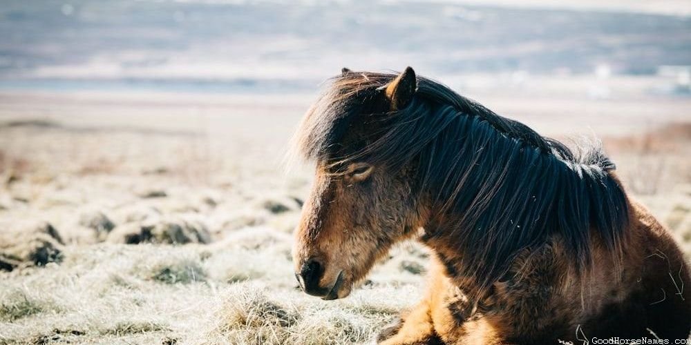 Scary Horse Names That Are Mysterious