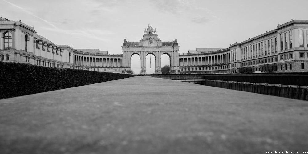 Schleich Horse Funny Names