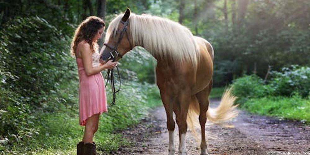 Silly Horse Popular Names