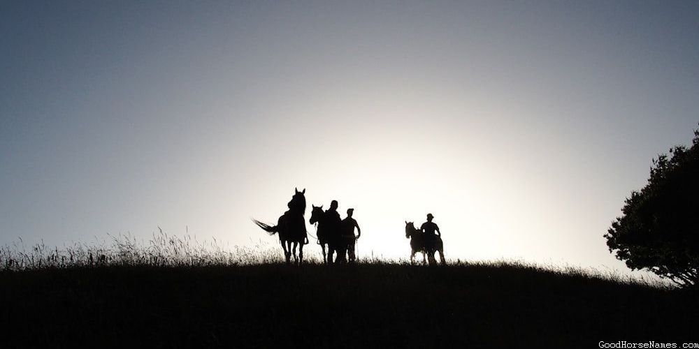 Silver Dapple Pinto Horse Dazzling Names