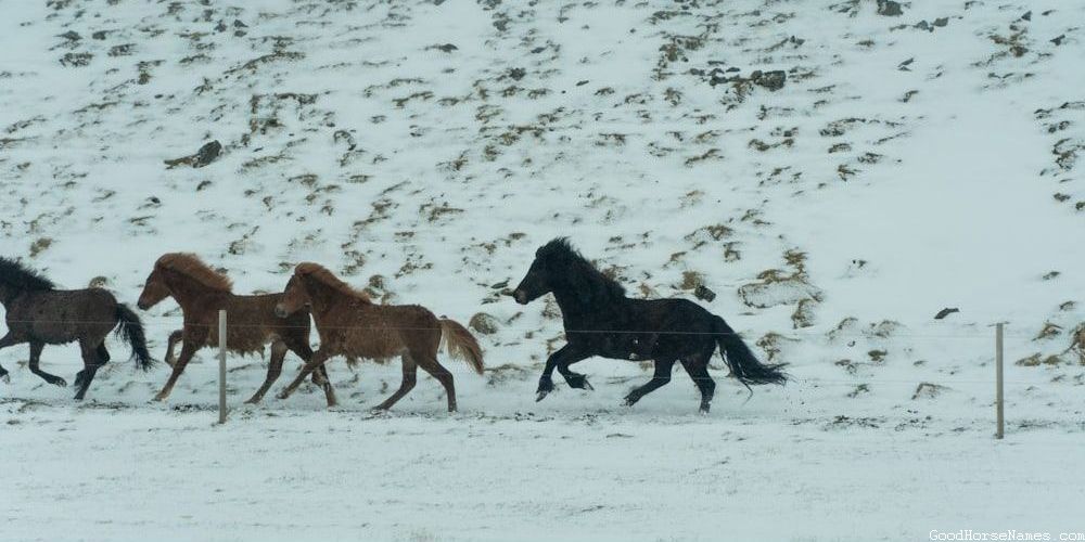 Skyrim Horse Funny Names