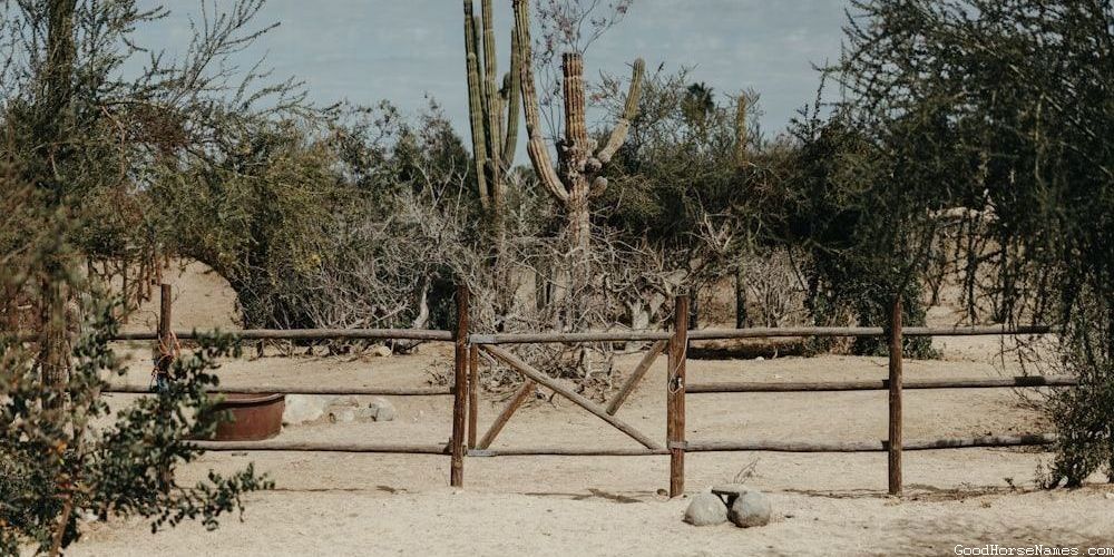 Spooky Horse Funny Names