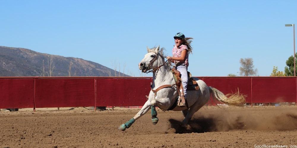 Unique Names for Male Palomino Horses