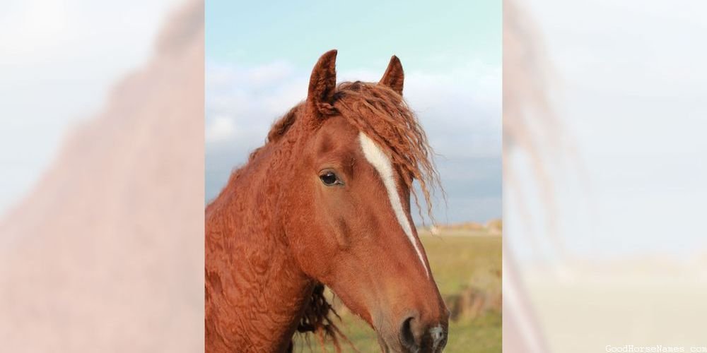 Unique White Horse Names Inspired by Sports Team