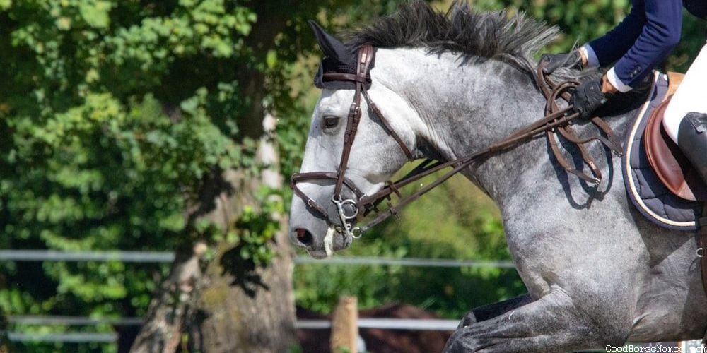 Victorian Horse Powerful Names