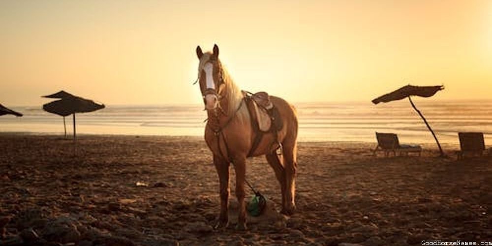 Whiskey Horse Powerful Names