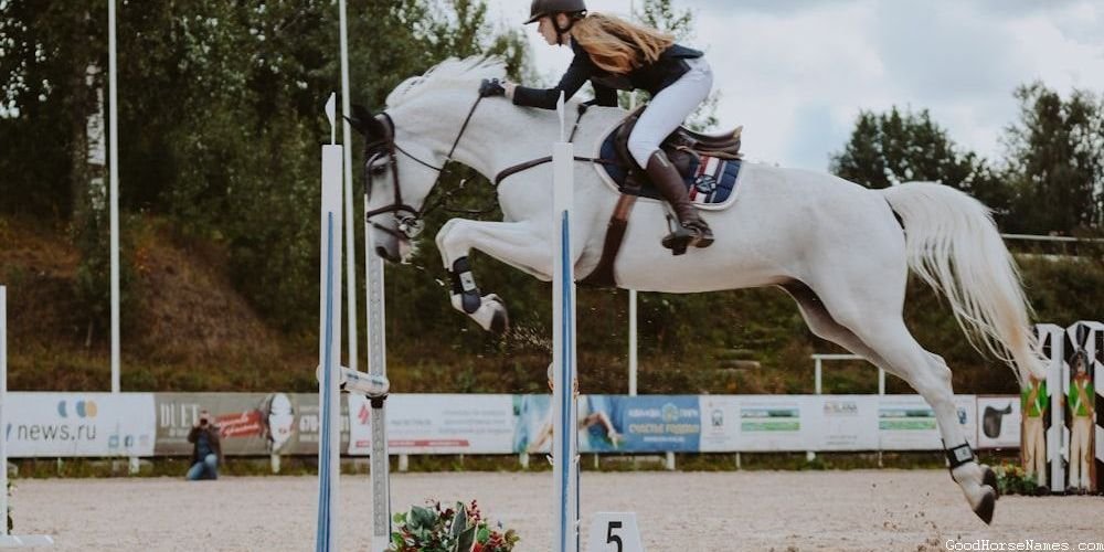 White Horse Names That Represent Their Nobility